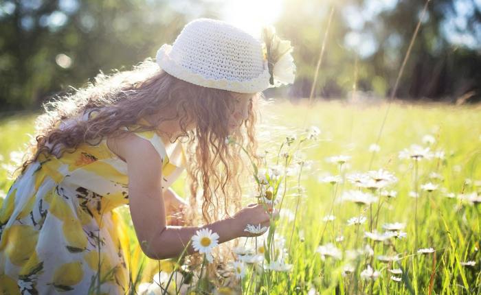 En ese campo de Margaritas. / In that field of&nbsp;Daisies.