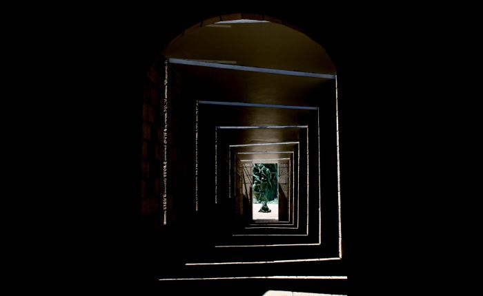¡Escapar y no verte más! / Escape and Never See You Again!